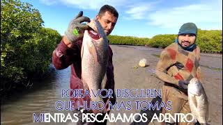 PESCA DE PARGOS DE LINGADA  (EL AGUA SIGUE MUY HELADA) 🥶🐟💯✅🇲🇽