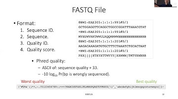 STAT115 Chapter 3.2 FASTQ and FASTQC