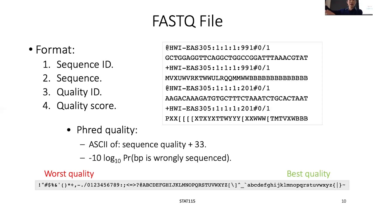 STAT115 Chapter 3.2 FASTQ and FASTQC - YouTube