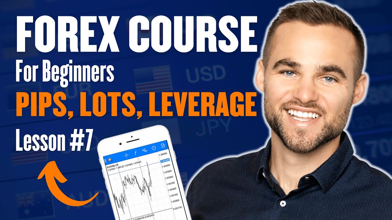 Что такое PiP на Форексе?