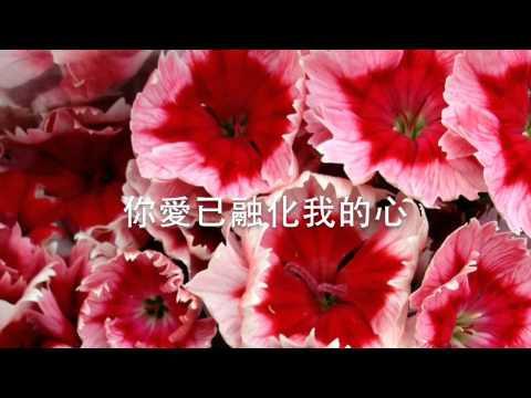 進到你的殿MV — 伍偉基