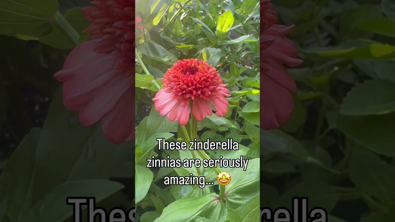 Uploads from From Seed to Spoon Garden Planning App