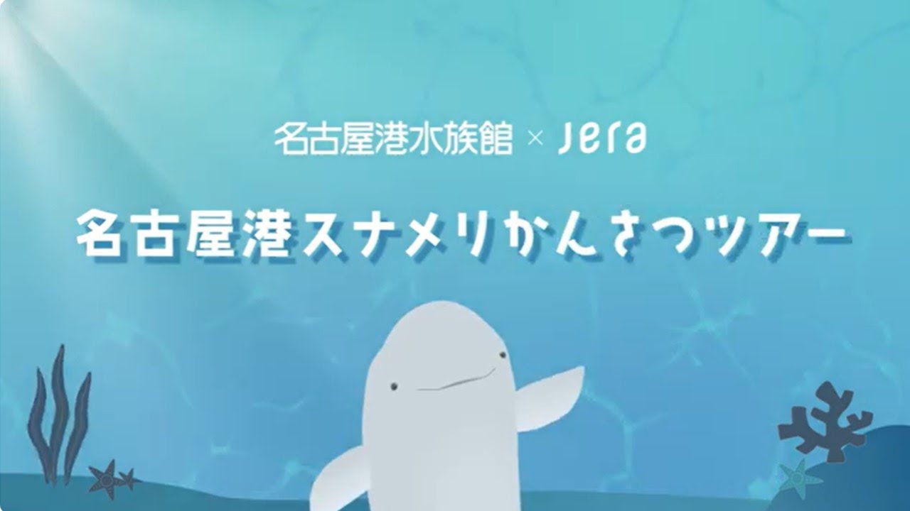 スナメリ見れたかな？｜研究・教育｜名古屋港水族館ホームページ<公式>
