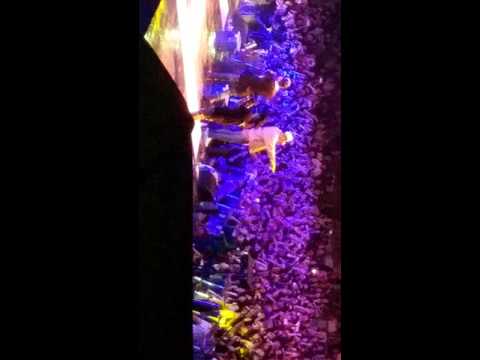 20160520 홍익대 대동제 로꼬 그레이 박재범 무례하게