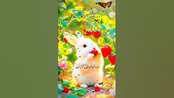 تلاوة خاشعة عطرة مباركة جميلة عذبة للشيخ فارس عباد ماتيسر من سورة الكهف