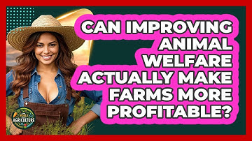 Can Improving Animal Welfare Actually Make Farms More Profitable? - The World of Agriculture