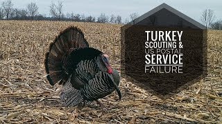 Turkeys & The US Postal Service Epic Failure - Last Minute Vlog