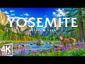 Yosemite National Park 4K – June Wilderness 2026 🌲 Granite Cliffs, Waterfalls & Giant Sequoias