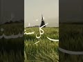 Tinglaymiz🎧 juda chiroyli qiroat🍃 ❤@omar.diaa.aldeen1