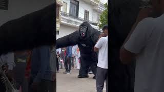 Sumerpur Revadi Hanuman Fan