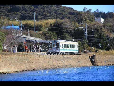 天竜浜名湖鉄道 浜名湖佐久米のカモメとリプラス湘南色　2019年1月