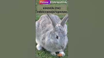 #shorts  Pets in Greek (1st part) with translation into 3 languages 😍 Learn the words in 25 seconds