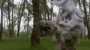 Trendphazr - Bruxist Cusp (Official Video)