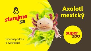 Axolotl mexický | Podcast Super zoo