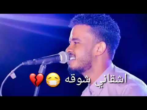 الحبيب حسين الصادق
