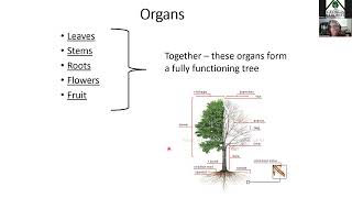 ISA Certified Arborist® Virtual Exam Prep Course (Fall 2023): Ch1 Biology/Ch9 Part 1 Support