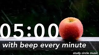 5 Minute Timer with buzzer every Minute