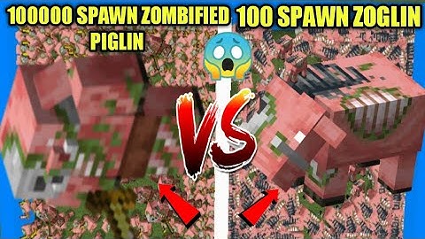 || MINECRAFT FIGHT WITH DANGER SPAWN ZOMBIFIED PIGLIN🔥VS🔥 POWERFUL SPAWN ZOGLIN || (Survive Map)
