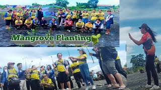 Pano mag tanimo ng Proper ng Mangrove planting? | #love #melabz #plants