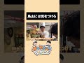 とりやまには気をつけろ #かつやま #料理 #かつやまんち #パスタ #ド桜 #お笑い #芸人 #とりやま生配信 #meiyo #shorts