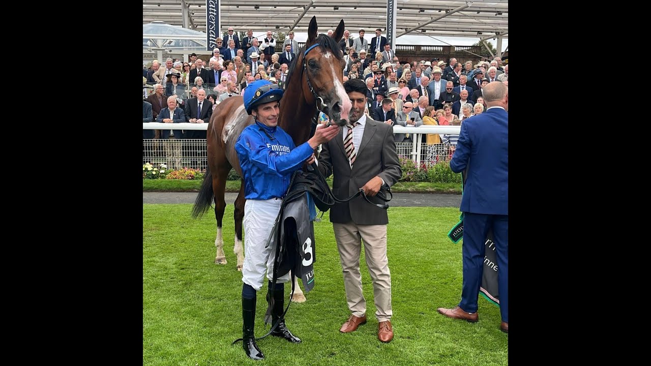 An Early Thorograph Look at Key Breeders' Cup Horses, Juvenile, Distaff, Turf, and Classic