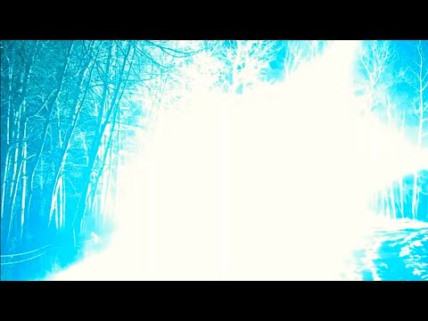 ⟨ BNNMAL vs MNNMAL ⟩