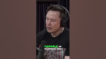 Unlocking the Power of Your Brain  Understanding the Cortex and Limbic System