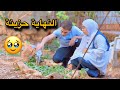 النهاية حزينة القصة كاملة