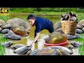 Primitive Harvesting 🐚 Catching Giant Clams in Muddy Pond &amp; Cooking Mussel Porridge 🍲🔥