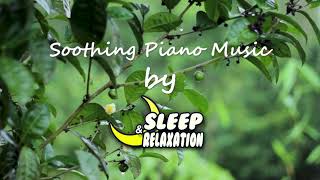 Breathe in the beauty (Original Track By Sleep & Relaxation Track #21) by Sleep & Relaxation 7,499 views 9 months ago 7 minutes, 28 seconds