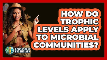 How Do Trophic Levels Apply To Microbial Communities? - Ecosystem Essentials