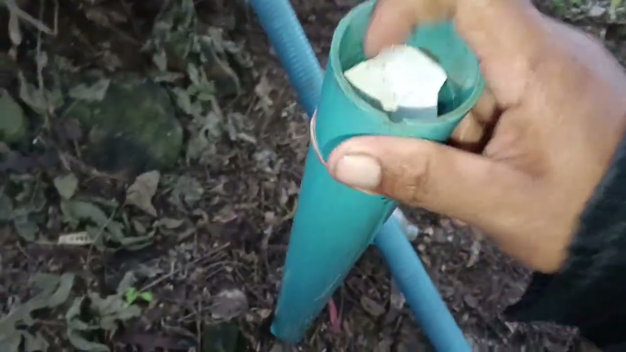 คุ้มค่าเหยื่อโครงไก่+ไข่ไก่ บ่อน้อ ดักปลาไหล