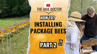 Package Bee Installation Part 2//Installing your Package Bees//How to install your Package Bees