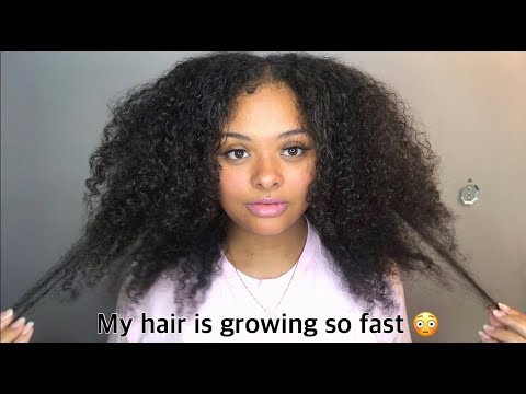 update-on-black-rice-oil-for-fast-hair-growth?!-featuring-ippy-beauty