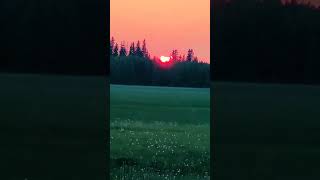 Smoky Sunset | Amazing View Of Sunset Due To Wildfire Smoke | Smoky Sunset | Amazing View Of Sunset Due To Wildfire Smoke |