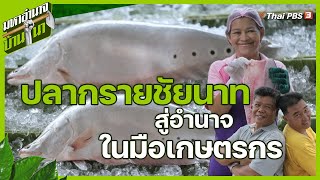 ปลากรายชัยนาท สู่อำนาจในมือเกษตรกร | มหาอำนาจบ้านนา