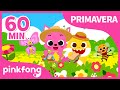 Las Mejores Canciones de Primavera para niños🌸 |+Recopilación | Tiburón Bebé | Pinkfong