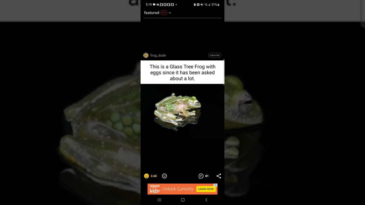 glass frogs and hardlight frogs (arclight engrams)