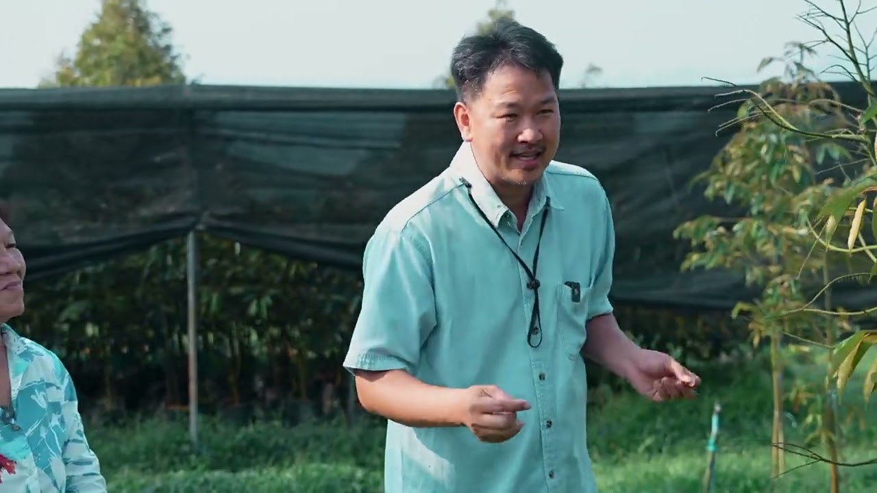 สวนทุเรียนวัชราพร