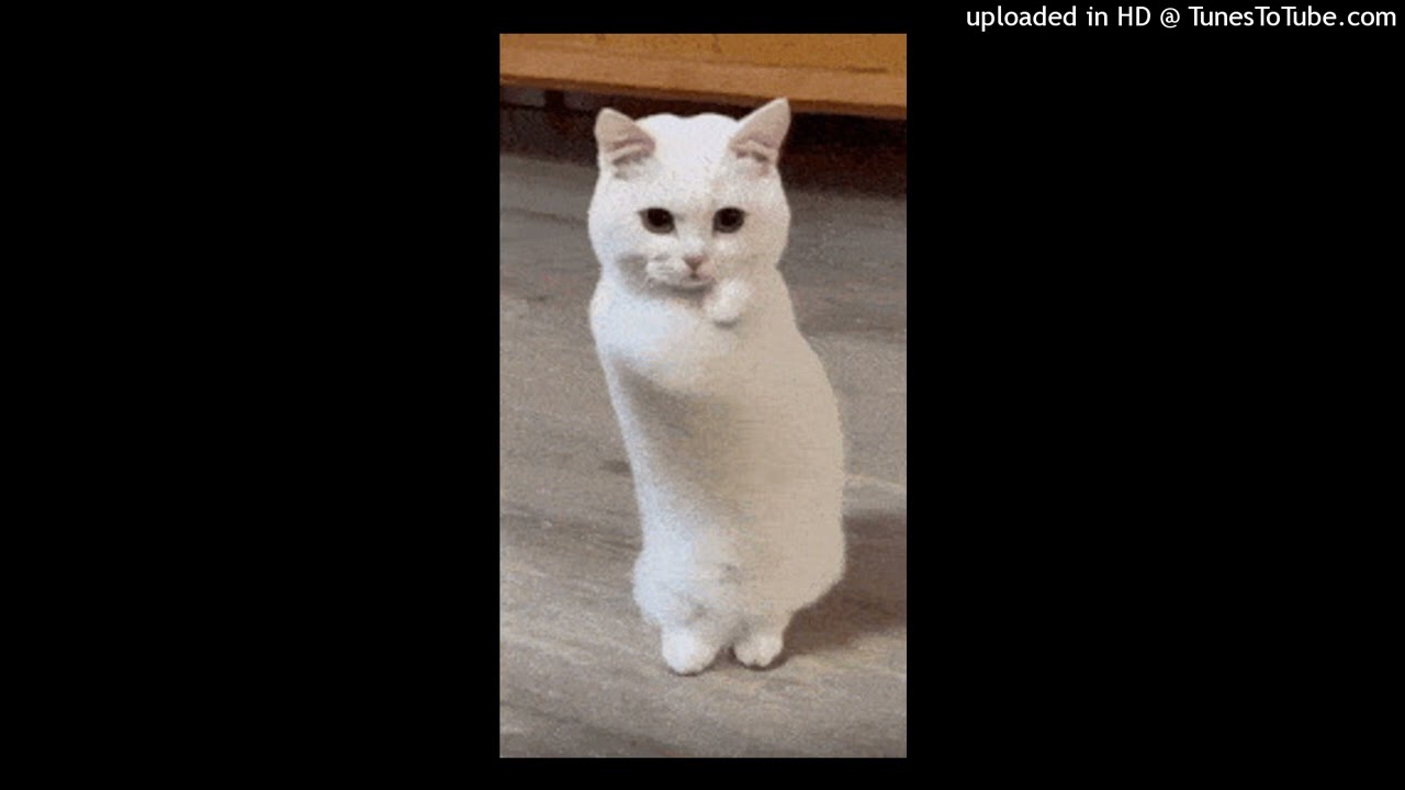 FREE KSUUVI X AI GRAM SAMPLE TYPE BEAT