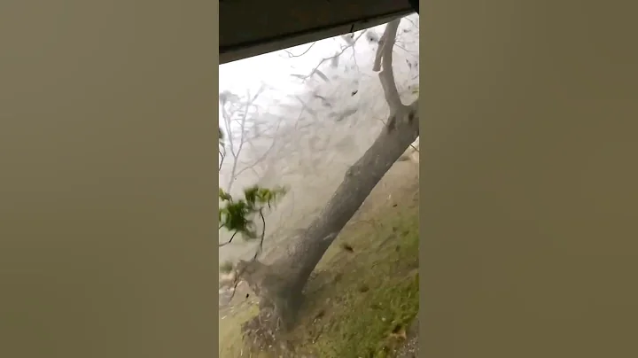 Man Watches a Tornado Destroy His Neighborhood From His Porch #fypage #fup - DayDayNews