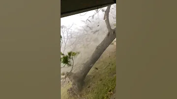 Man Watches a Tornado Destroy His Neighborhood From His Porch #fypage #fup