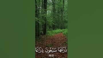 القران الكريم تلاوة ماهر المعيقلي سورة الحاقة #المصحف #اكسبلور #راحة_نفسية