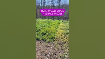 Rotational Grazing Impact - Regenerative Agriculture