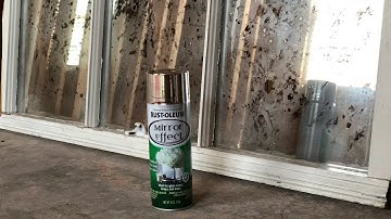 Mercury Glass DIY With Spray Paint And A Farmhouse Window