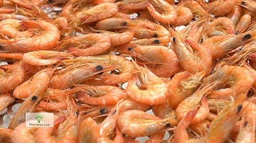 TÔM ĐẤT CÀ MAU SẤY BẰNG CỦI NÊN ĐỎ RÁO, KHÔ RỒI VẪN NGỌT