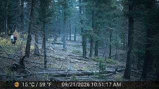 50 Trail Cam Captures… You Won’t See #1 Coming