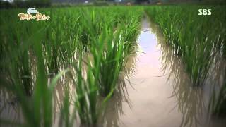 네트워크 현장 고향이 보인다 20130716 다시보기 #1(4)