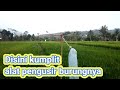 Kumpulan alat pengusir hama burung di sawah