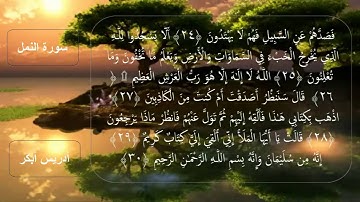 سورة النمل للقارئ إدريس أبكر